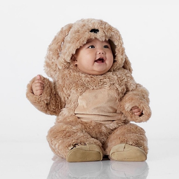 Pottery Barn Kids Other - Infant Dog Pottery Barn Costume 0-6 months